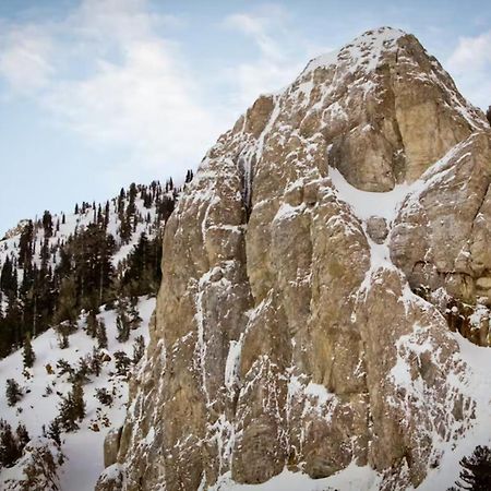 マンモス・レイクスChamonix 100アパートメント エクステリア 写真
